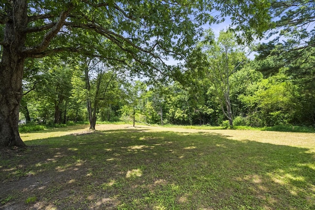 110 Poole St N, Ashland City, TN 37015 - photo 42