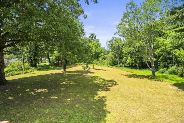 110 Poole St N, Ashland City, TN 37015 - photo 41