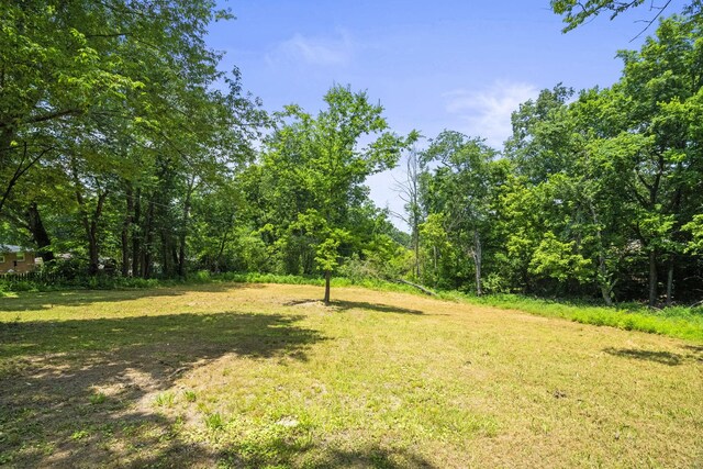 110 Poole St N, Ashland City, TN 37015 - photo 43