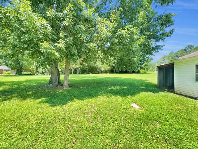 200 Western Ave, Hartsville, TN 37074 - photo 29
