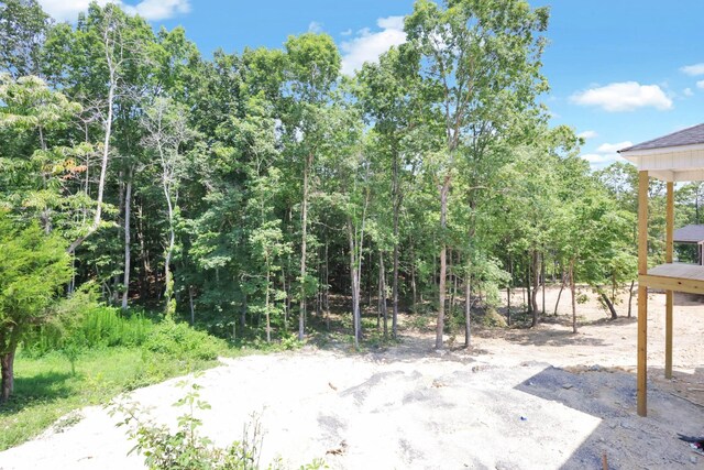 12151 Bull Run, Birchwood, TN 37308 - view of yard