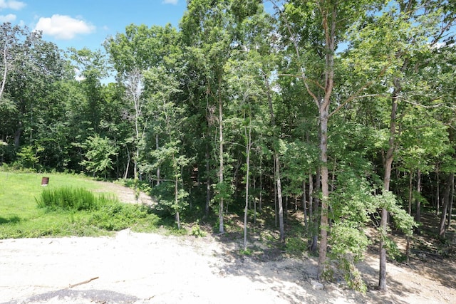 12151 Bull Run, Birchwood, TN 37308 - view of local wilderness