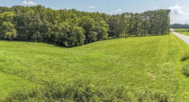 867 Lexington Hwy, Loretto, TN 38469 - view of green lawn