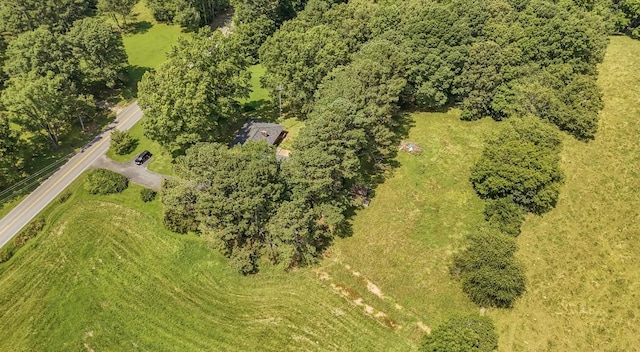 867 Lexington Hwy, Loretto, TN 38469 - aerial view of property and surrounding area