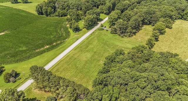 867 Lexington Hwy, Loretto, TN 38469 - aerial overview of property's location