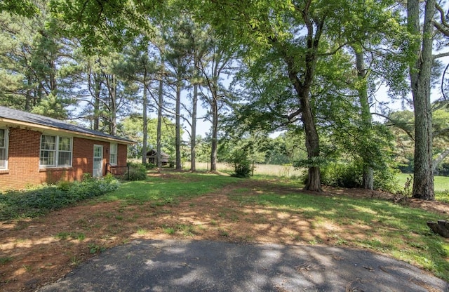 867 Lexington Hwy, Loretto, TN 38469 - view of yard