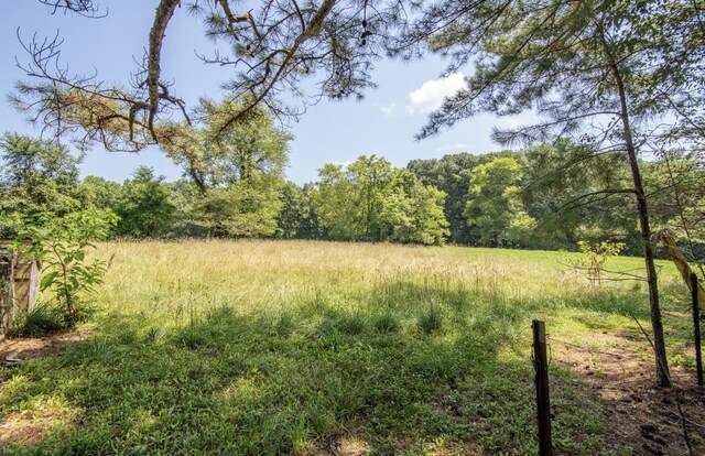867 Lexington Hwy, Loretto, TN 38469 - view of yard with a wooded view and a view of rural / pastoral area