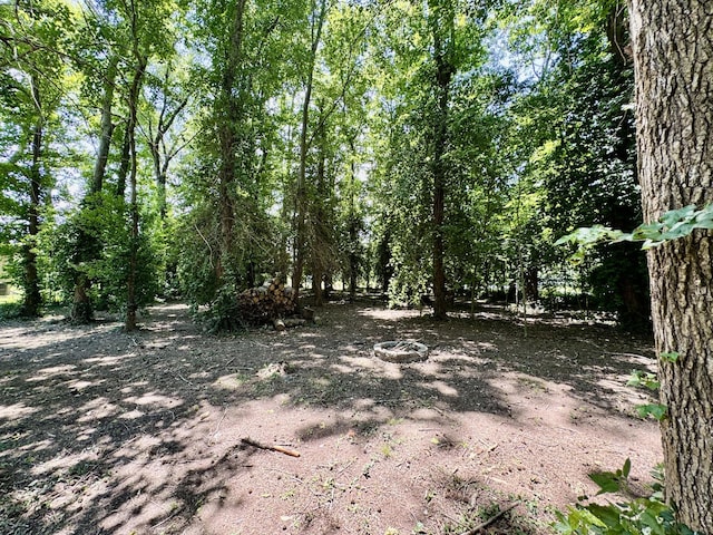 0 Peggy Dr, Cedar Hill, TN 37032