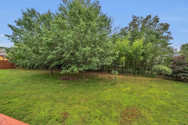 7157 Chessington Dr, Fairview, TN 37062 - view of yard
