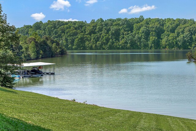 834 Lake Haven Dr, Tullahoma, TN 37388 - photo 8