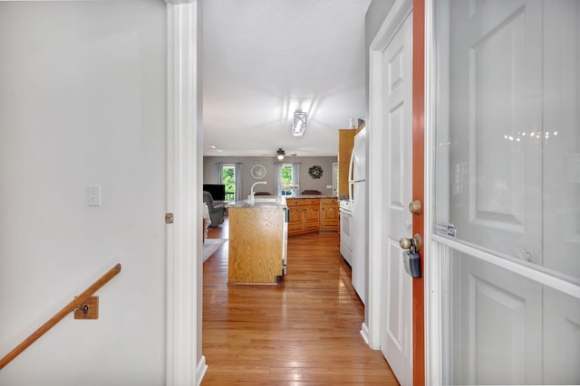 834 Lake Haven Dr, Tullahoma, TN 37388 - photo 23