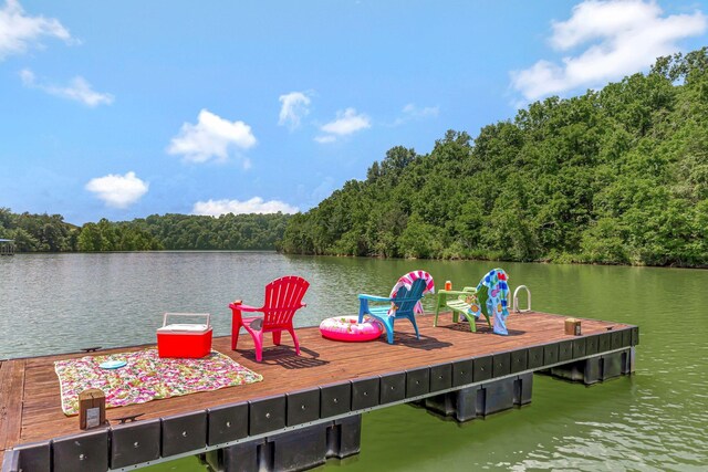834 Lake Haven Dr, Tullahoma, TN 37388 - photo 15