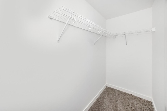 475 Kelly Creek Rd, Ardmore, TN 38449 - walk in closet with carpet flooring