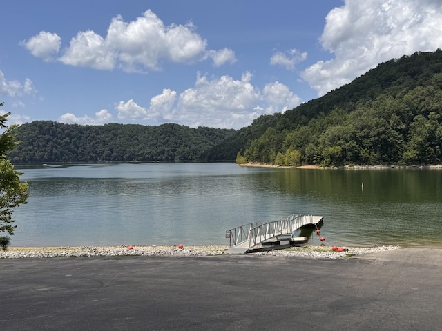 0 Johnson Chapel Rd, Sparta, TN 38583 - photo 3