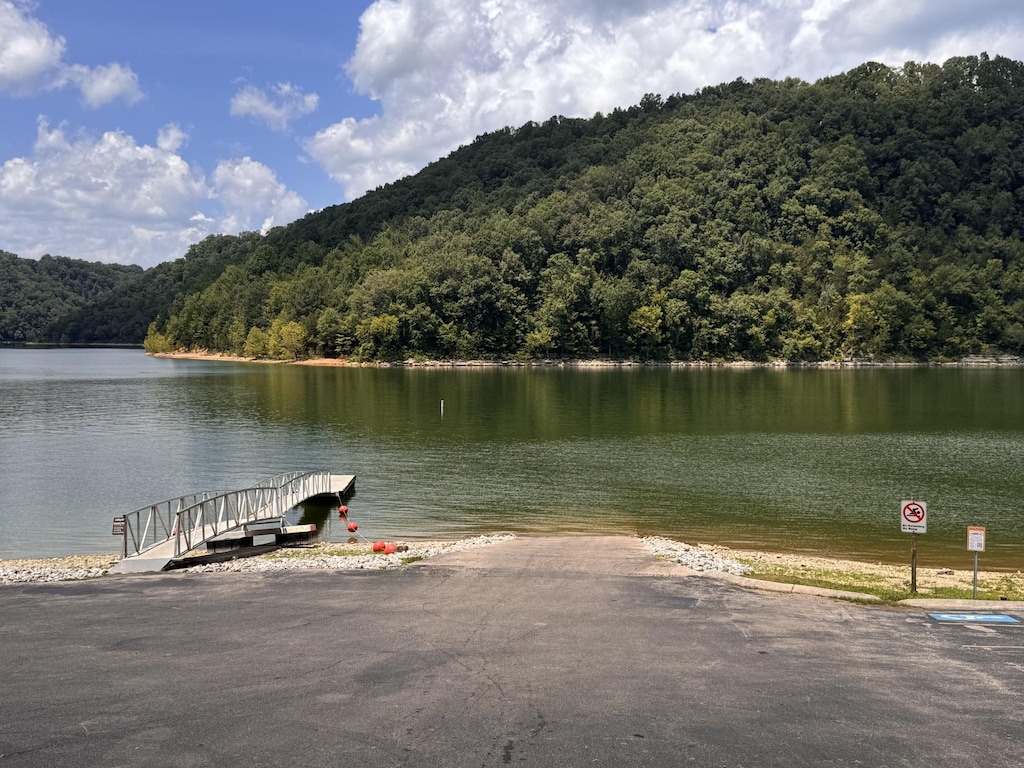 0 Johnson Chapel Rd, Sparta, TN 38583 - photo 4