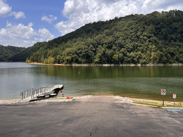0 Johnson Chapel Rd, Sparta, TN 38583 - photo 4