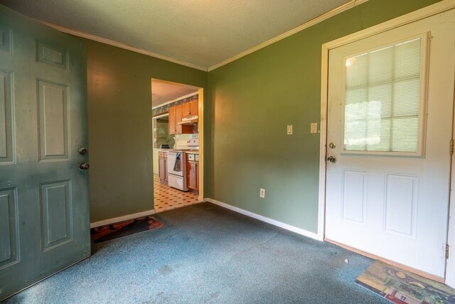 399 Indian Creek Rd, Hohenwald, TN 38462 - carpeted entrance foyer featuring crown molding and baseboards