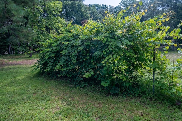 399 Indian Creek Rd, Hohenwald, TN 38462 - view of undeveloped land