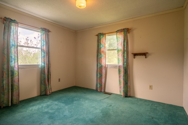 399 Indian Creek Rd, Hohenwald, TN 38462 - empty room with carpet, healthy amount of natural light, a textured ceiling, and ornamental molding