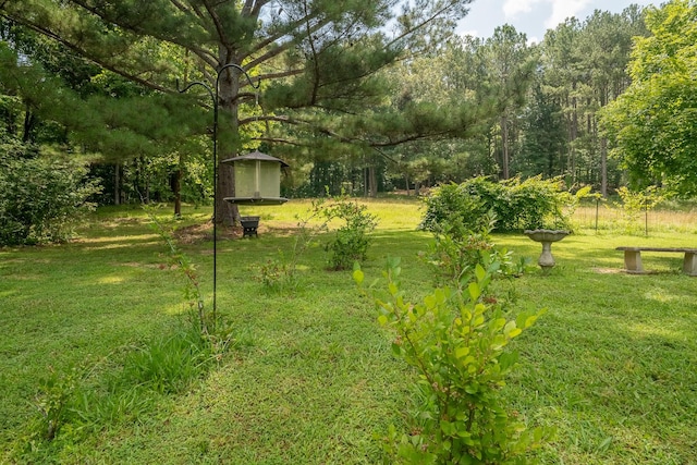 399 Indian Creek Rd, Hohenwald, TN 38462 - view of green lawn