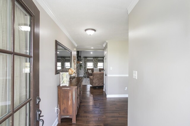 1043 Shelton Rd, Charlotte, TN 37036 - photo 5