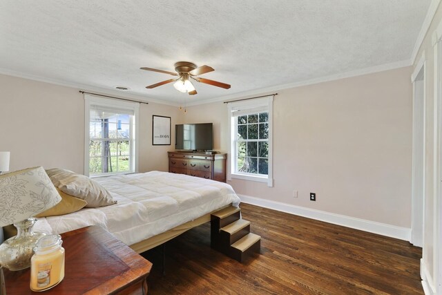 3717 Atkins Rd, Cedar Hill, TN 37032 - photo 10