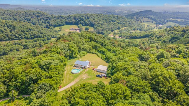 6857 Pulltight Hill Rd, College Grove, TN 37046 - aerial view of a forest