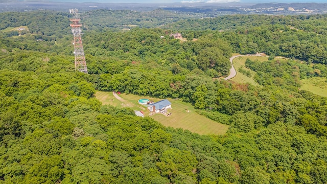 6857 Pulltight Hill Rd, College Grove, TN 37046 - view of property location featuring a heavily wooded area
