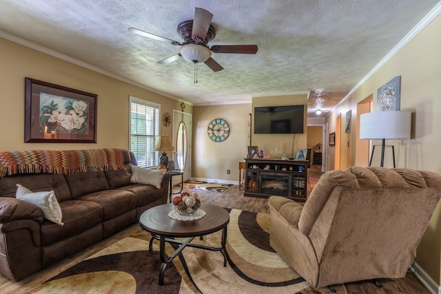 3090 Algee Ln, Milan, TN 38358 - living room featuring a textured ceiling, ornamental molding, ceiling fan, wood finished floors, and a glass covered fireplace