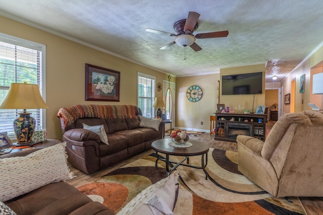 3090 Algee Ln, Milan, TN 38358 - living area featuring wood finished floors, a textured ceiling, healthy amount of natural light, ceiling fan, and crown molding
