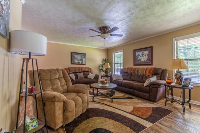 3090 Algee Ln, Milan, TN 38358 - living area featuring wood finished floors, healthy amount of natural light, a ceiling fan, a textured ceiling, and ornamental molding
