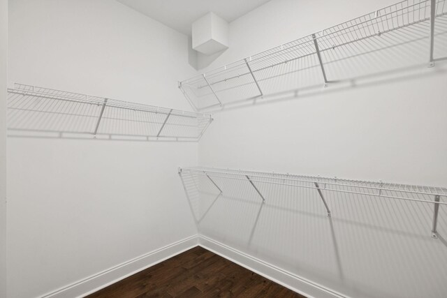 1012 Stoneleigh Ln, Nolensville, TN 37135 - photo 24
