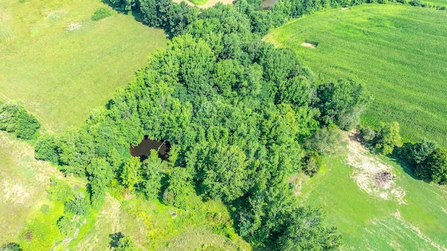 605 Fairfield Rd, Westmoreland, TN 37186 - photo 51