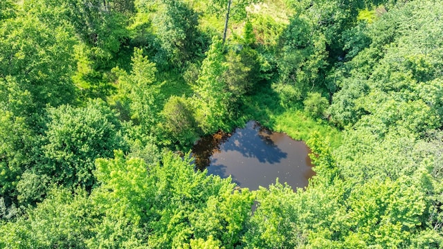 605 Fairfield Rd, Westmoreland, TN 37186 - photo 52