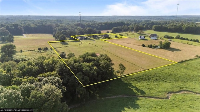 3123 W Stroudsville Rd, Cedar Hill, TN 37032 - photo 39