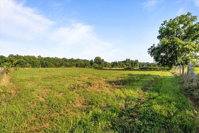 3123 W Stroudsville Rd, Cedar Hill, TN 37032 - photo 32