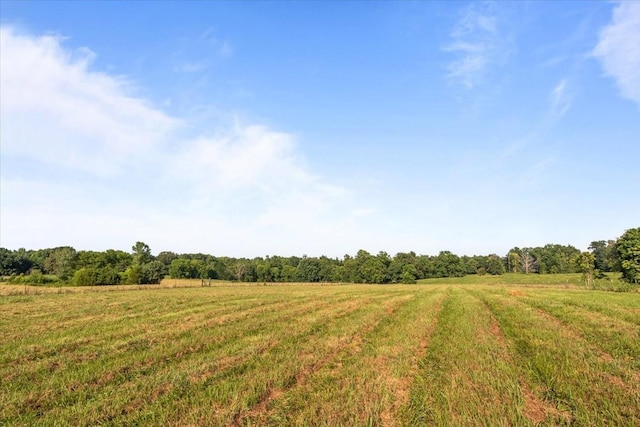 3123 W Stroudsville Rd, Cedar Hill, TN 37032 - photo 31