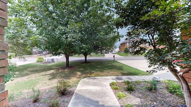 5142 Reagan Dr, Murfreesboro, TN 37129 - view of green lawn