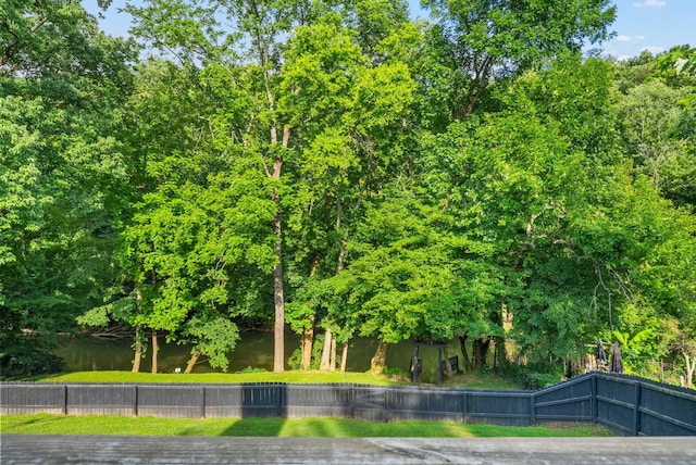 1731 Broadripple Dr, Clarksville, TN 37042 - view of yard