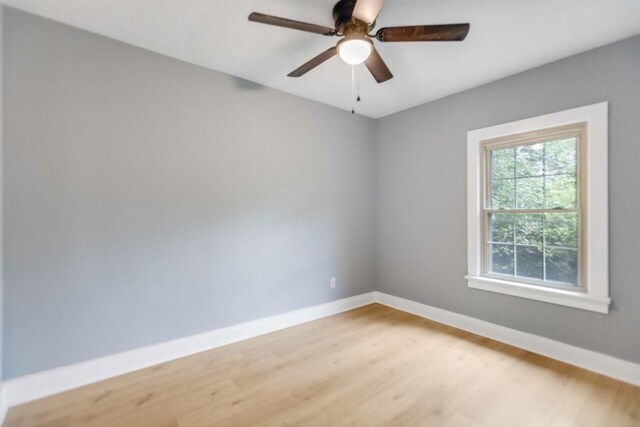 1012 Hayes St, Hopkinsville, KY 42240 - photo 15