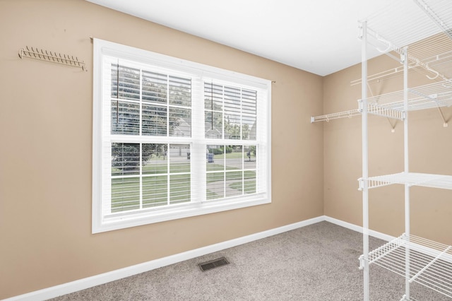 632 Winding Bluff Way, Clarksville, TN 37040 - photo 29