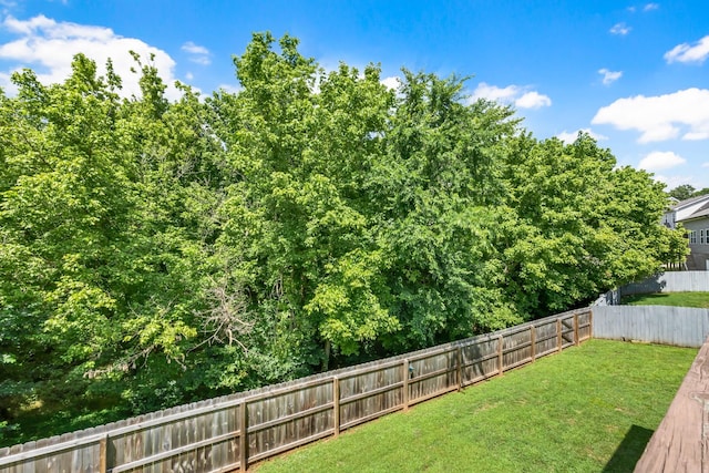 632 Winding Bluff Way, Clarksville, TN 37040 - photo 43