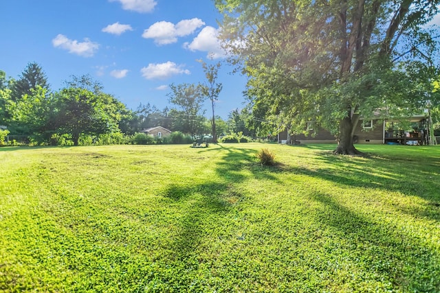 800 Pollard Rd, Clarksville, TN 37042 - photo 19