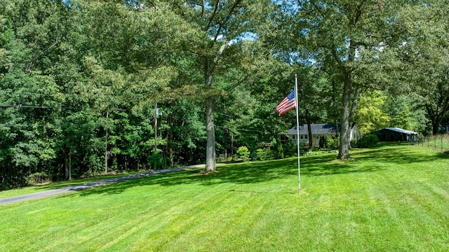 14 Oakwood Ave, Summertown, TN 38483 - photo 4