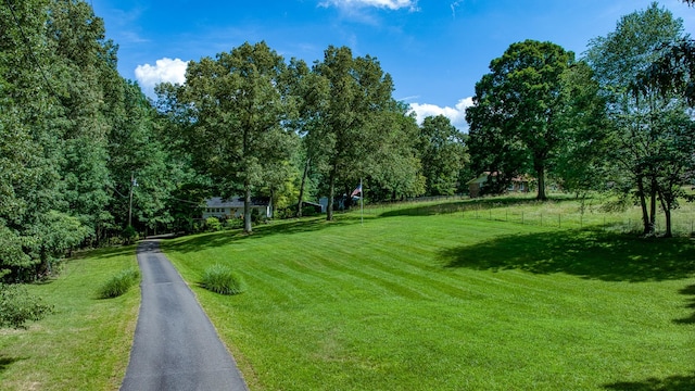 14 Oakwood Ave, Summertown, TN 38483 - photo 1
