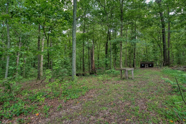 14 Oakwood Ave, Summertown, TN 38483 - photo 59
