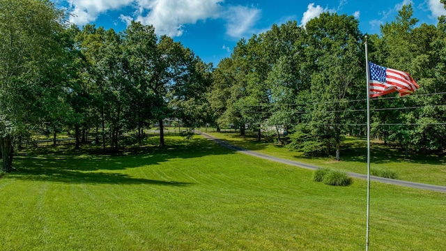14 Oakwood Ave, Summertown, TN 38483 - photo 71