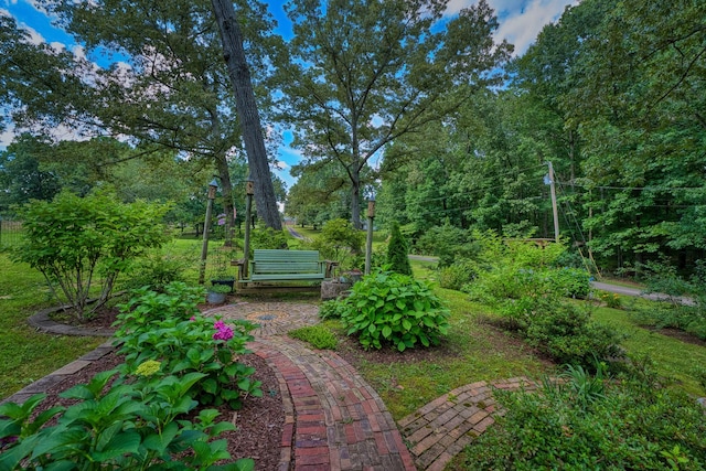 14 Oakwood Ave, Summertown, TN 38483 - photo 69