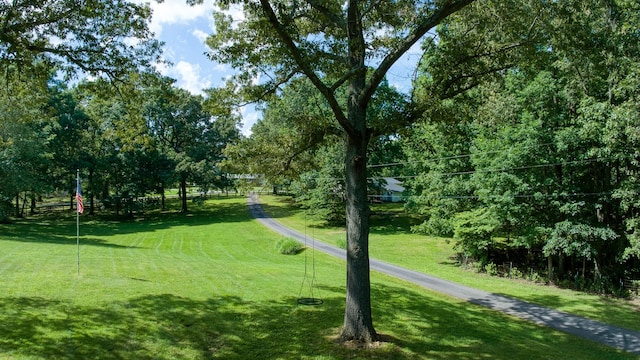 14 Oakwood Ave, Summertown, TN 38483 - photo 70