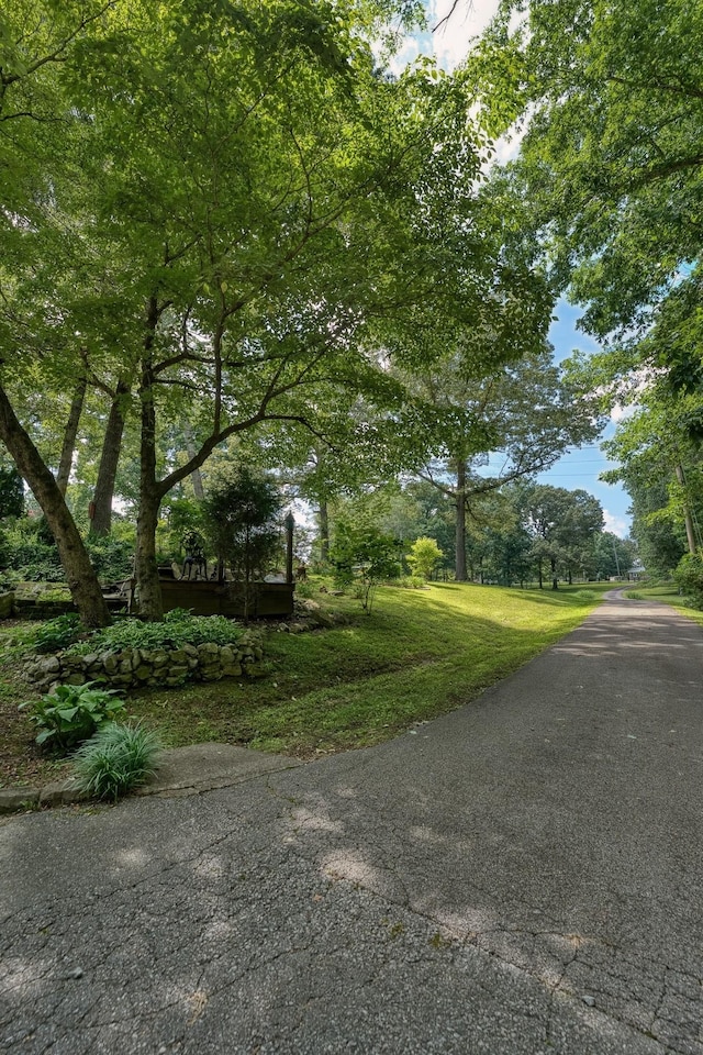 14 Oakwood Ave, Summertown, TN 38483 - photo 64